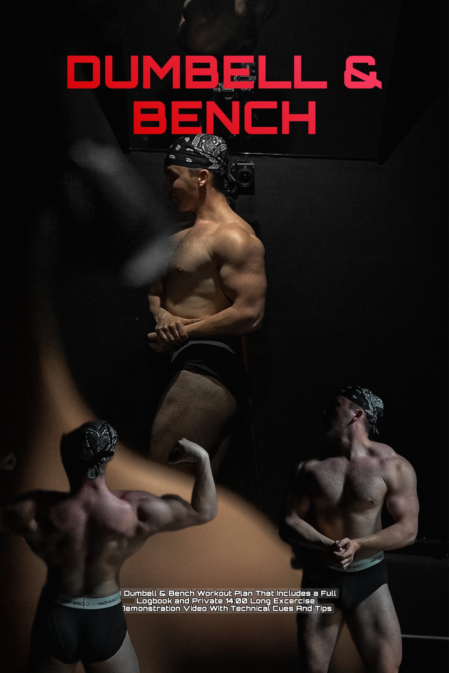 DUMBELL & BENCH ONLY TRAINING PLAN