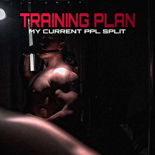 MY TRAINING PLAN - CURRENT PPL SPLIT