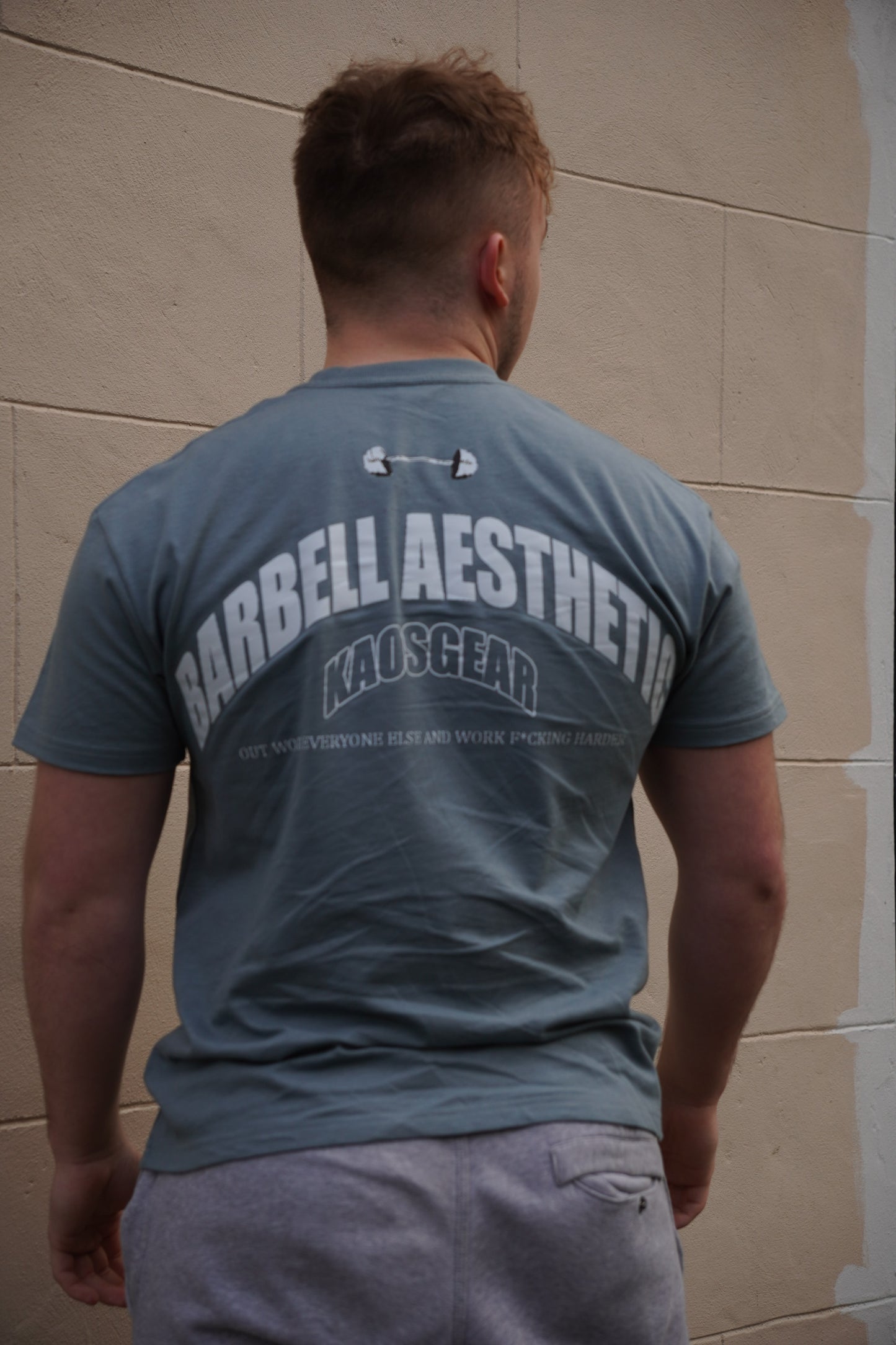 Barbell Aesthetic Tee